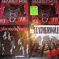 Leatherwolf - Tape / Vinyl / CD / Recording etc - Leatherwolf vinyl collection