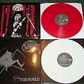 Molested - Tape / Vinyl / CD / Recording etc - Molested Blod-Draum and Stormvold vinyl