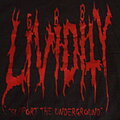 Lividity - TShirt or Longsleeve - LIVIDITY "ITS NOT ABOUT SATAN/SUPPORT THE UNDERGROUND" 2000s BAND SHIRT