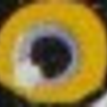 Screenshot_9.png