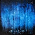 Shape Of Despair - Tape / Vinyl / CD / Recording etc - Shape Of Despair ‎– Alone In The Mist    Vinyl