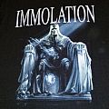 Immolation - TShirt or Longsleeve - Immolation - Majesty and Decay