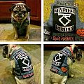 Twisted Sister - Battle Jacket - Pug Vest