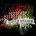 Between The Buried And Me - TShirt or Longsleeve - Between The Buried And Me - Great Misdirect World Tour