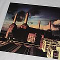 Pink Floyd - Tape / Vinyl / CD / Recording etc - PINK FLOYD - Animals - Grey Vinyl