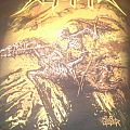 Skeletonwitch - TShirt or Longsleeve - skeletonwitch 2014 tour shirt