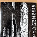 Pyogenesis - Tape / Vinyl / CD / Recording etc - Pyogenesis, ignis creatio, the origin of fire, 30th anniversary lp