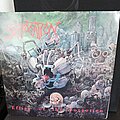 Suffocation - Tape / Vinyl / CD / Recording etc - Suffocation - effigy first press Lp