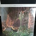 Grave - Tape / Vinyl / CD / Recording etc - Grave - into the grave LP 91