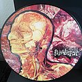 Pathologist - Tape / Vinyl / CD / Recording etc - Pathologist - picture