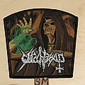 Witchtrap - Patch - Witchtrap Evil Strikes Again patch