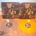 Defeated Sanity - Other Collectable - Defeated Sanity - Chapters Of Repugnance- LP's