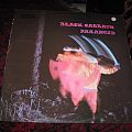 Black Sabbath - Tape / Vinyl / CD / Recording etc - My vinyls collection - purchased 1978 - 1991