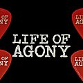 Life Of Agony - Other Collectable - Life Of Agony - 'The Sound Of Scars' S.O.S. pick card
