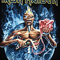 Iron Maiden - TShirt or Longsleeve - Iron Maiden - Seventh Son Of A Seventh Son/Maiden England 2013 Tour Shirt 2013