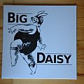 Big Daisy - Tape / Vinyl / CD / Recording etc - Big Daisy LP