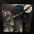 Paradise Lost - Tape / Vinyl / CD / Recording etc - Paradise Lost-Lost Paradise 1st Press LP