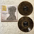 Paradise Lost - Tape / Vinyl / CD / Recording etc - Paradise Lost-The Plague Within(smoke coloured vinyl)
