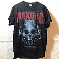 Pantera - TShirt or Longsleeve - Domination