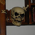 Skull - Other Collectable - Skull in my living room