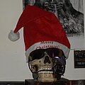 SDC15279.JPG