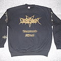 Desaster - Hooded Top / Sweater - Desaster ‎– Teutonic Steel