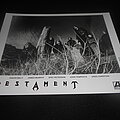 Testament - Other Collectable - Testament / Promo