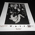 W.A.S.P. - Other Collectable - W.A.S.P. / Promo