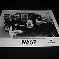 W.A.S.P. - Other Collectable - W.A.S.P. / Promo