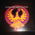 LYNYRD SKYNYRD - Tape / Vinyl / CD / Recording etc - Lynyrd Skynyrd / Solo Flytes