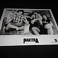 Pantera - Other Collectable - Pantera / Promo