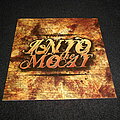 Into The Moat ‎ - Tape / Vinyl / CD / Recording etc -  Into The Moat / The Design