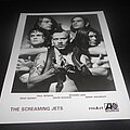 The Screaming Jets - Other Collectable - The Screaming Jets / Promo
