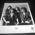 Y&amp;T - Other Collectable - Y&T / Promo