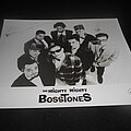 The Mighty Mighty Bosstones - Other Collectable - The Mighty Mighty Bosstones / Promo