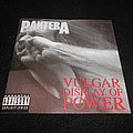 Pantera - Tape / Vinyl / CD / Recording etc -  Pantera / Vulgar Display Of Power