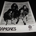 Ramones - Other Collectable - Ramones / Promo