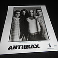 Anthrax - Other Collectable - Anthrax / Promo