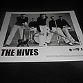 THE HIVES - Other Collectable - THE HIVES / Promo Photo