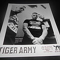 Tiger Army - Other Collectable - Tiger Army / Promo