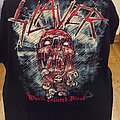 Slayer - TShirt or Longsleeve - World Painted Blood