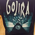 Magma - TShirt or Longsleeve - Gojira