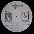 Forgotten Woods - Tape / Vinyl / CD / Recording etc - Forgotten Woods - Forgotten Woods / Through The Woods