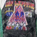 Def Leppard - TShirt or Longsleeve - Def Leppard High and Dry Tour