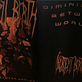 Decrepit Birth - TShirt or Longsleeve - Decrepit Birth Diminishing Betweeen Worlds T-shirt