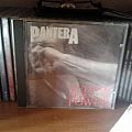 Pantera - Tape / Vinyl / CD / Recording etc -  Pantera ‎– Vulgar Display Of Power