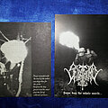 Behemoth - Other Collectable - polish flyers