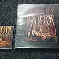 Inveracity - Tape / Vinyl / CD / Recording etc - INVERACITY / INSISION Revelation of the SadoGod / Deceased... Abandoned......