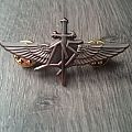 Division Speed - Pin / Badge - Division Speed - Winged DS Pin