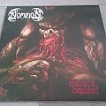 Nominon - Tape / Vinyl / CD / Recording etc - Nominon - Diabolical Bloodshed 12" Vinyl + Patch